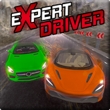 Expert Driver - Open World Dri