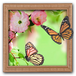 Amazing Photo Frames
