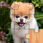Dogs Puzzle - Kids & Adults icon