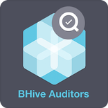 BHive Auditors