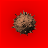 Virus Effect