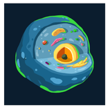 Biologia Ciekawostki