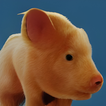 Icona Chimera App