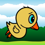 Try to fly!