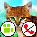 fake call video cat game