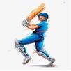 Cricket Batting Records APK