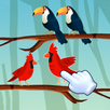 Birds Sort APK