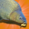 Carp Fishing Simulator Free Demo APK
