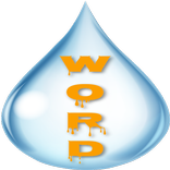 Wordrop Pro