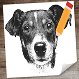 Honden Te Tekenen