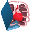 Sistemas do Corpo Humano 3D APK