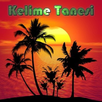 Kelime Tanesi - 2021 Yeni Nesi APK