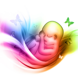 First Time Pregnancy