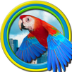 Flappy Parrot APK