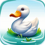 Quack & Collect