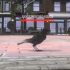 Bird Game Test APK