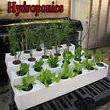 Hydroponik