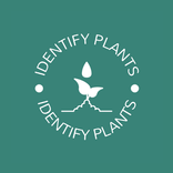 Plant Identifier