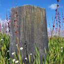 APK Headstone Maker!