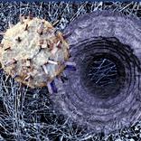 Hole War