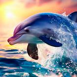 Delphin-Hintergrundbilder
