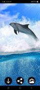 Dolphin Wallpapers اسکرین شاٹ 2