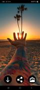 Sunrise & Sunset Wallpapers screenshot 2