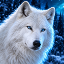 APK White Wolf Wallpapers