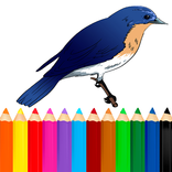 Coloring Birds