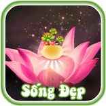Kỹ Năng Sống Đẹp Và Hạnh Phúc