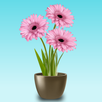 Plants APK