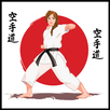 Academia de Karate Shotokan APK