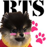 BTS Pocket Pet (simulator)
