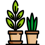 Green House