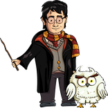 Harry Potter Wizard Adventure
