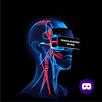 Human Anatomy VR Hub APK