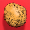 Beard Potato APK