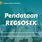 Pendataan Regsosek Hints icon