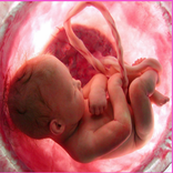 ”Pregnancy App