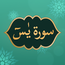 Surata Yaseen Mp3 Offline APK