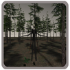 SlenderMan 2019 APK