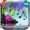 Relaxing Music 2021 APK