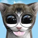 Googly Kitties