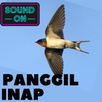 Suara Walet Panggil dan Inap APK