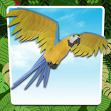 Safari World Ar Zoo
