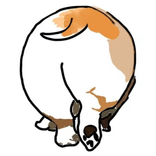 Корги