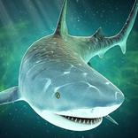 Sea fish