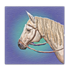 Wild Race West Horse Game time APK