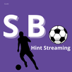SB0 TV Live Streaming-Hint APK