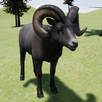 Happy Bighorn Sheep Simulator APK